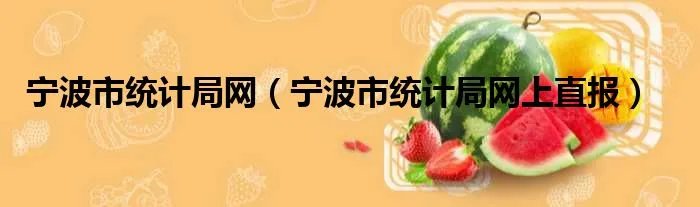 宁波市统计局网（宁波市统计局网上直报）