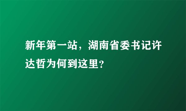 新年第一站，湖南省委书记许达哲为何到这里？