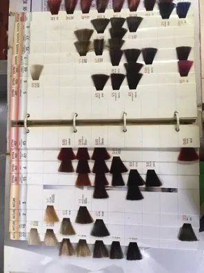 威娜美发色板大全