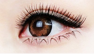 种眼睫毛多少钱