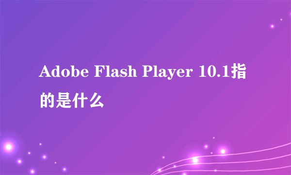Adobe Flash Player 10.1指的是什么