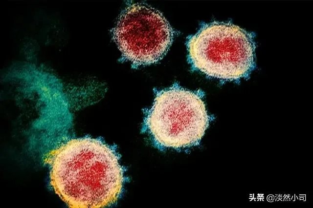 美国2月6日的新冠肺炎死亡病例，是美国至今发现最早的病例吗？这对美国疫情防控将有何影响？