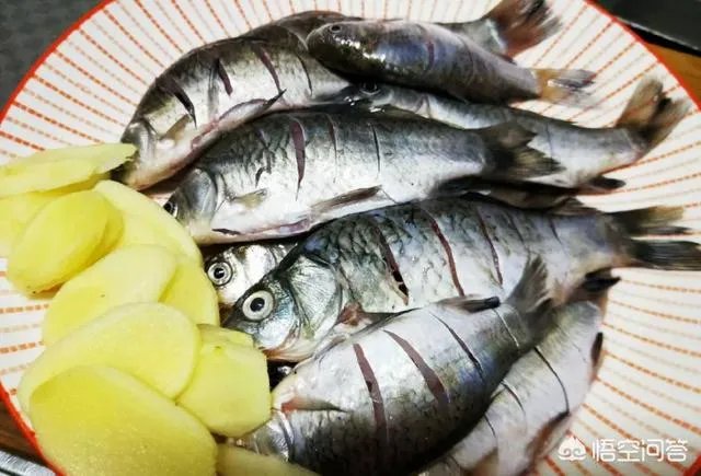 怎样熬鲫鱼汤？