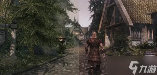 上古卷轴5汉化补丁位置介绍