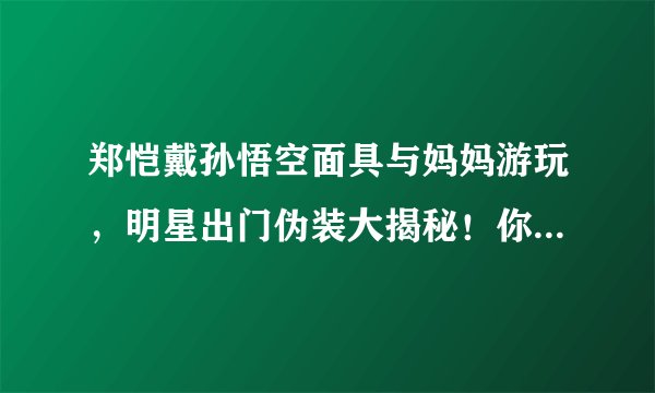 郑恺戴孙悟空面具与妈妈游玩，明星出门伪装大揭秘！你还认得出吗