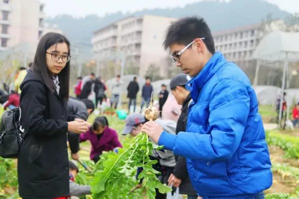 继承菜摊年入百万，你羡慕这种人的人生吗？