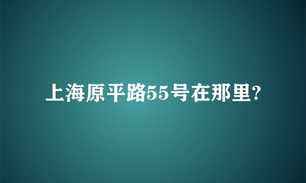 上海原平路55号在那里?