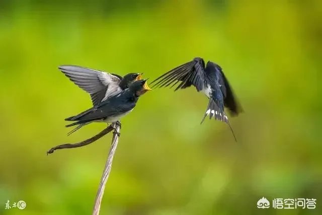 上联：缘来缘去缘已尽，如何对下联？