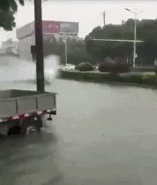 有哪些搞笑gif动画呢?