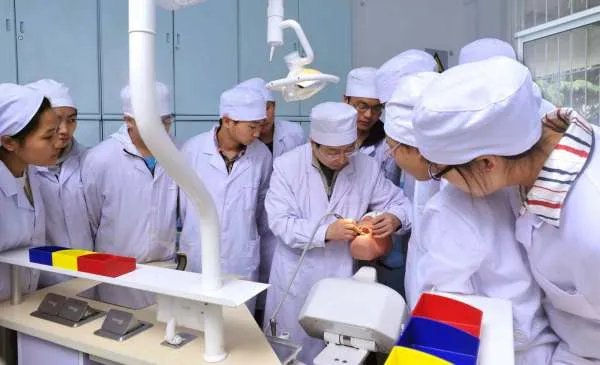 2019年一本医学大学录取分数线是多少