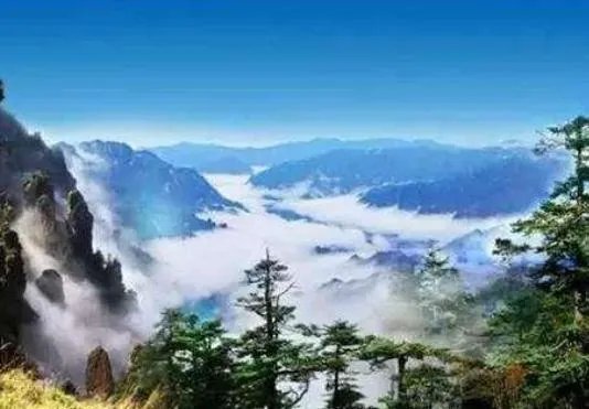 神农架现罕见动物：镜头下的罕见动物竟是这样子