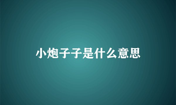 小炮子子是什么意思
