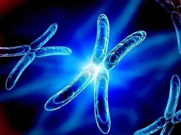 
				陕西妇幼保健院三代试管婴儿助孕详细流程是怎么样的？
			