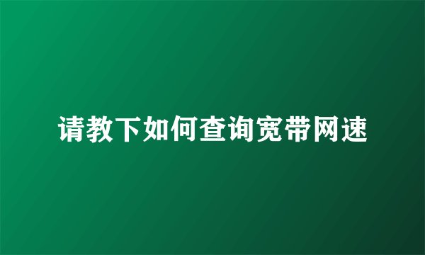 请教下如何查询宽带网速