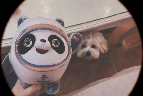 冬奥会是什么意思