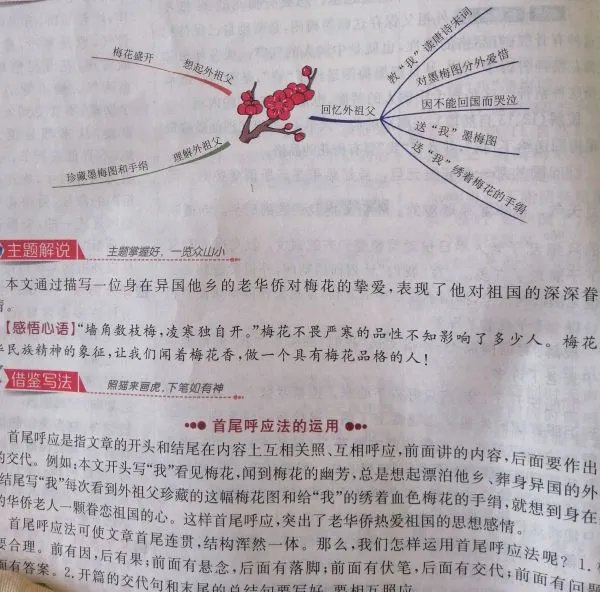 梅花魂写了外祖父的哪几件事