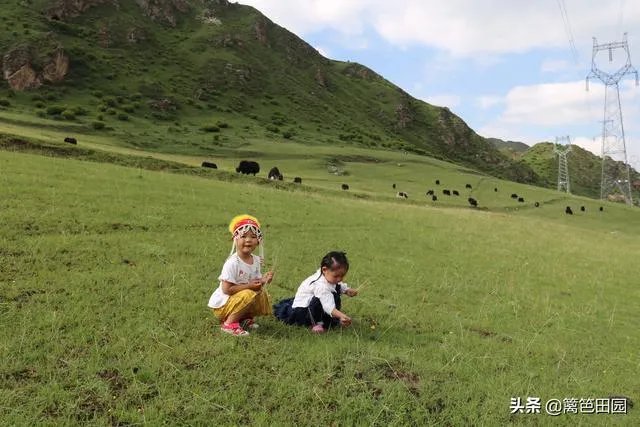 汽车自驾游的感受有哪些？