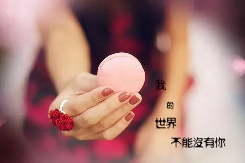 野人老公超会宠小说 安若晞库力全文阅读