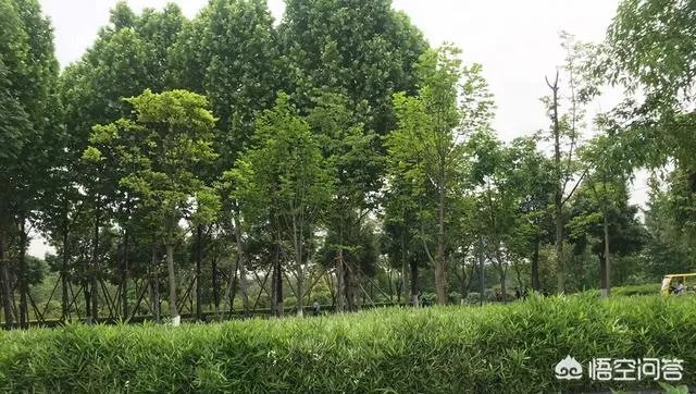 重庆石桥铺交易城二手房