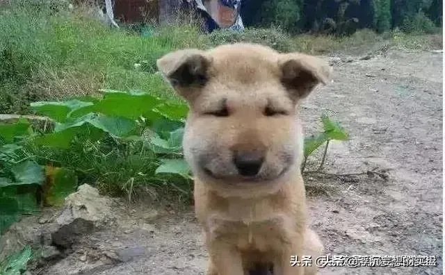 想开个汉堡饮料店，不加盟有其他办法吗？坐标临汾？