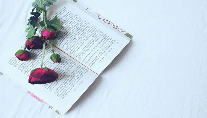 茶壶煮饺子的下一句 茶壶煮饺子的下一句是歇后语是什么