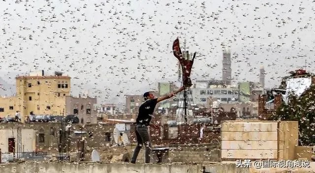 巴基斯坦蝗灾怎么样了？最近怎么感觉没人提及？