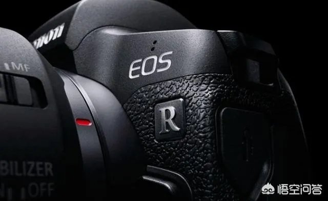 折耳鱼不呼吸在线观看免费