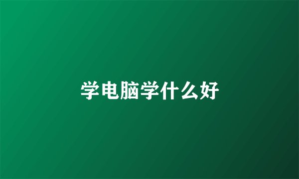 学电脑学什么好