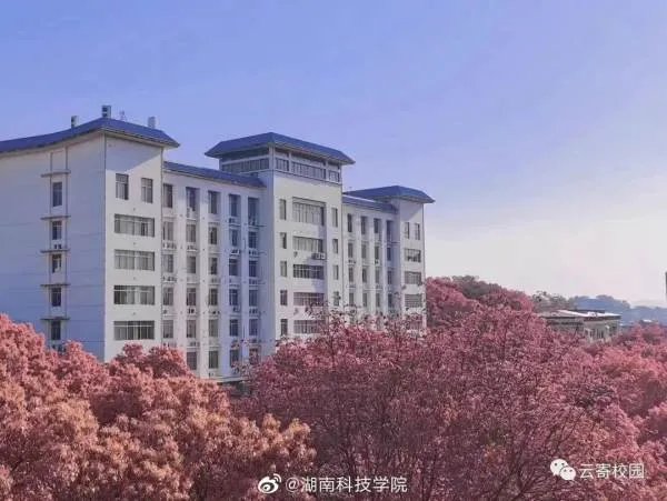湖南科技学院好不好呢？