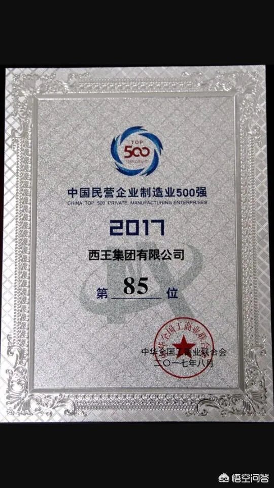 山东的西王村，到底有多富？