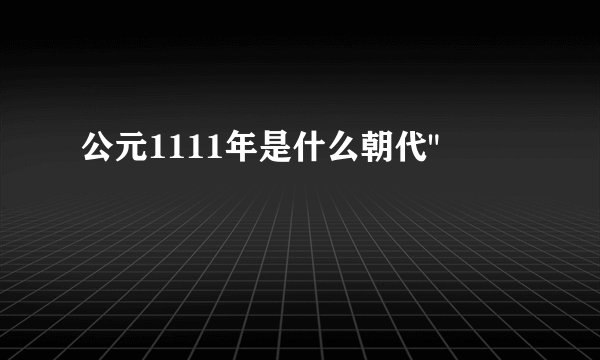 公元1111年是什么朝代