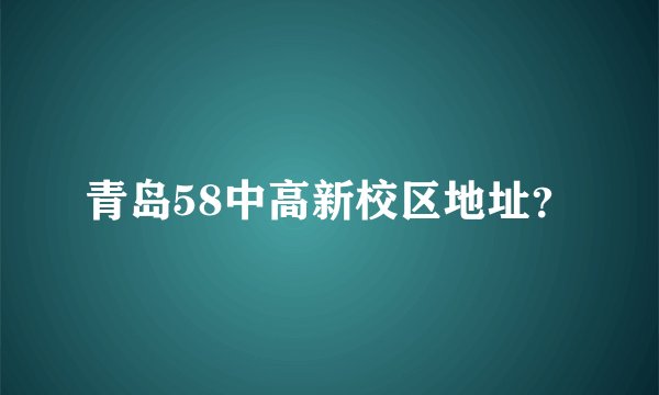 青岛58中高新校区地址？