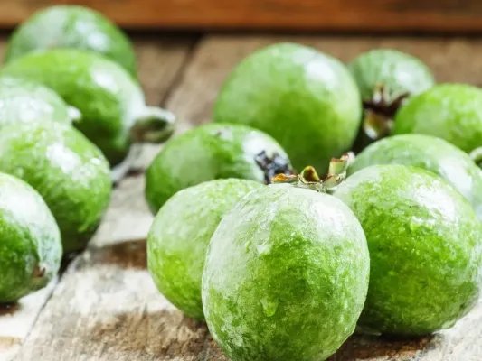 番石榴能降血糖吗