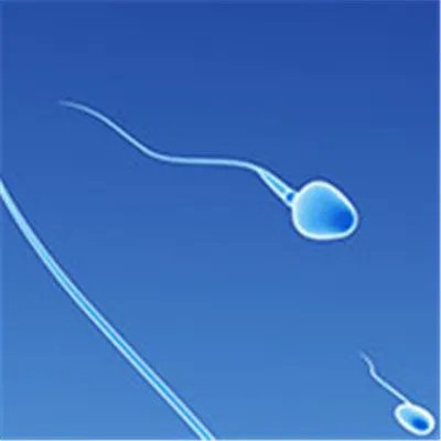 子宫后位如何怀孕？