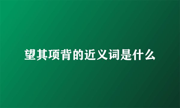 望其项背的近义词是什么
