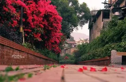 郑州出发去厦门的旅游攻略有什么？