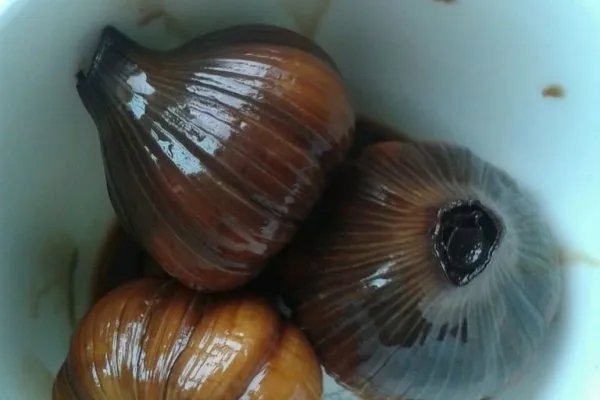 糖蒜最正宗的做法是什么，怎么做更好吃？