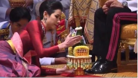 如何看待泰国国王为诗妮娜贵妃作画这件事呢？