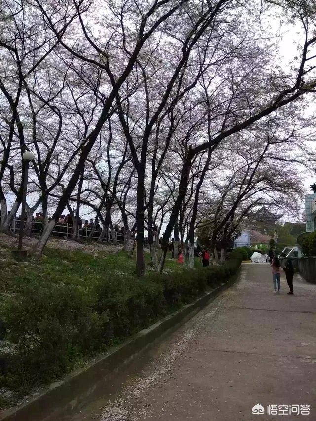 钱负担不起什么意思