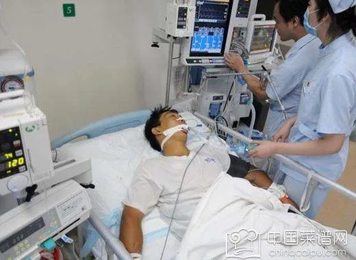 草乌是什么 草乌炖猪脚究竟是美味还是毒药？