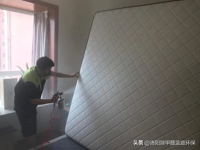 洛阳除甲醛哪家好？