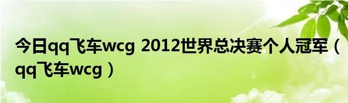 今日qq飞车wcg 2012世界总决赛个人冠军（qq飞车wcg）