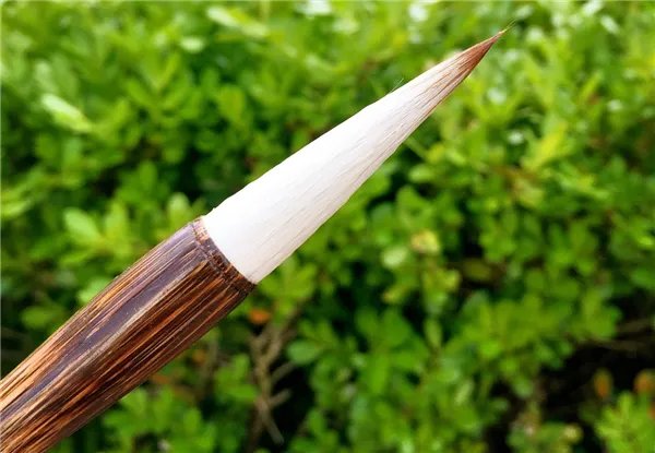 网红诗《暮年》是杜甫写的？专家：拙劣伪作 境界差远了