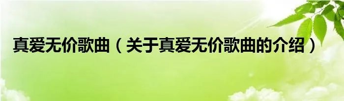 真爱无价歌曲（关于真爱无价歌曲的介绍）