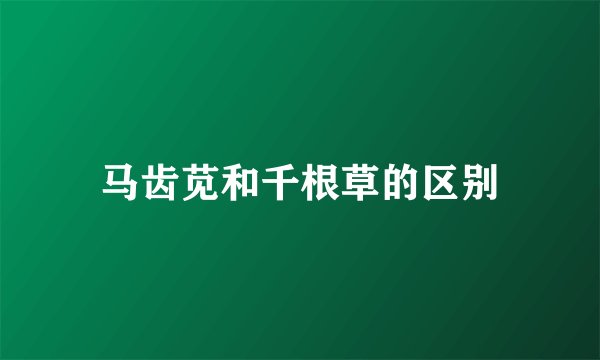 马齿苋和千根草的区别