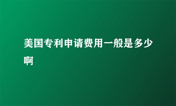 美国专利申请费用一般是多少啊
