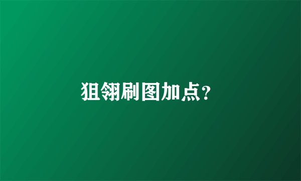 狙翎刷图加点？