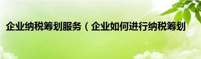 企业纳税筹划服务（企业如何进行纳税筹划