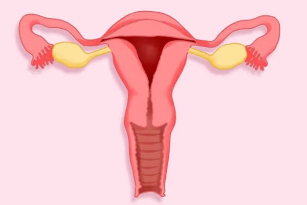 剖腹产后多久可以过性生活最好