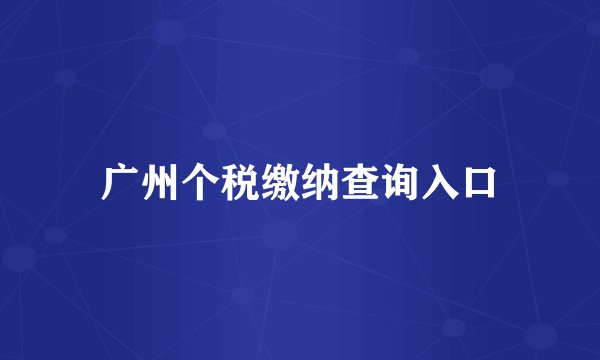 广州个税缴纳查询入口